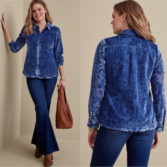 Soft Surroundings Floreat Velvet Devore Shirt in Blue Sapphire XL Button Down - Picture 1 of 12